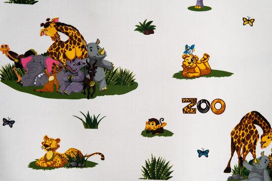 Zoo animals on a white background